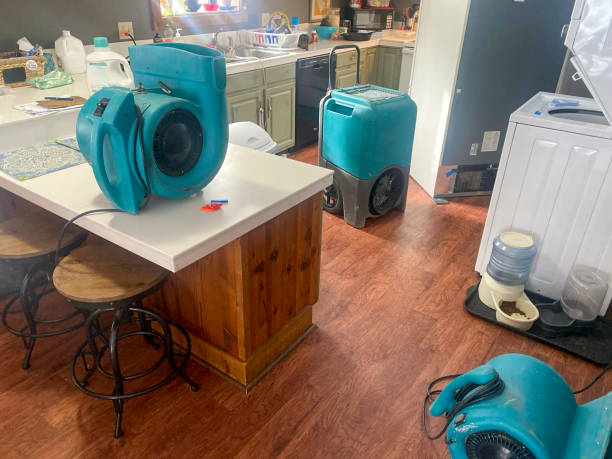 Best Water damage restoration near me  in Waimanalo, HI