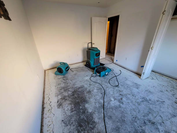 Water damage restoration mold remediation in Waimanalo, HI