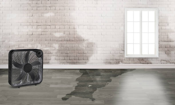 Professional Water damage restoration in Waimanalo, HI