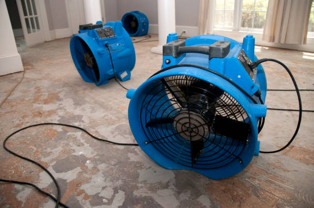 Best 24/7 water damage repair  in Waimanalo, HI