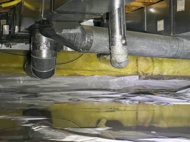 Best Fire Damage Restoration  in Waimanalo, HI