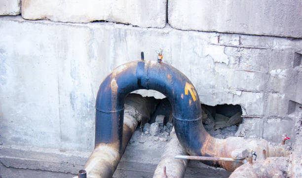 Best Water damage cleanup near me  in Waimanalo, HI