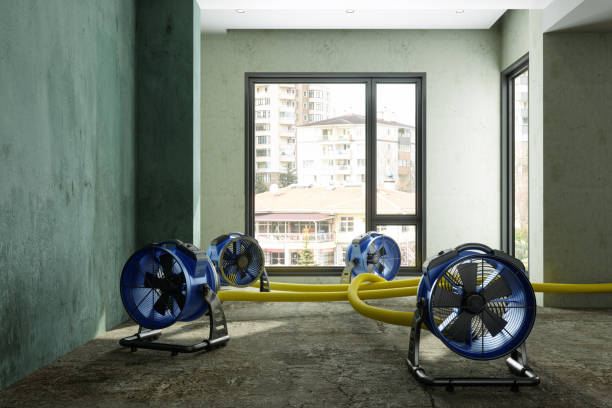 Water damage restoration process in Waimanalo, HI